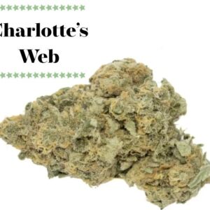 https://pbwell.ca/wp-content/uploads/2023/06/charlottes-web-300x300.jpg