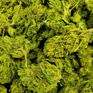 umpqua-cbd-flower.jpg https://pbwell.ca/wp-content/uploads/2023/06/umpqua-cbd-flower-300x300.jpg